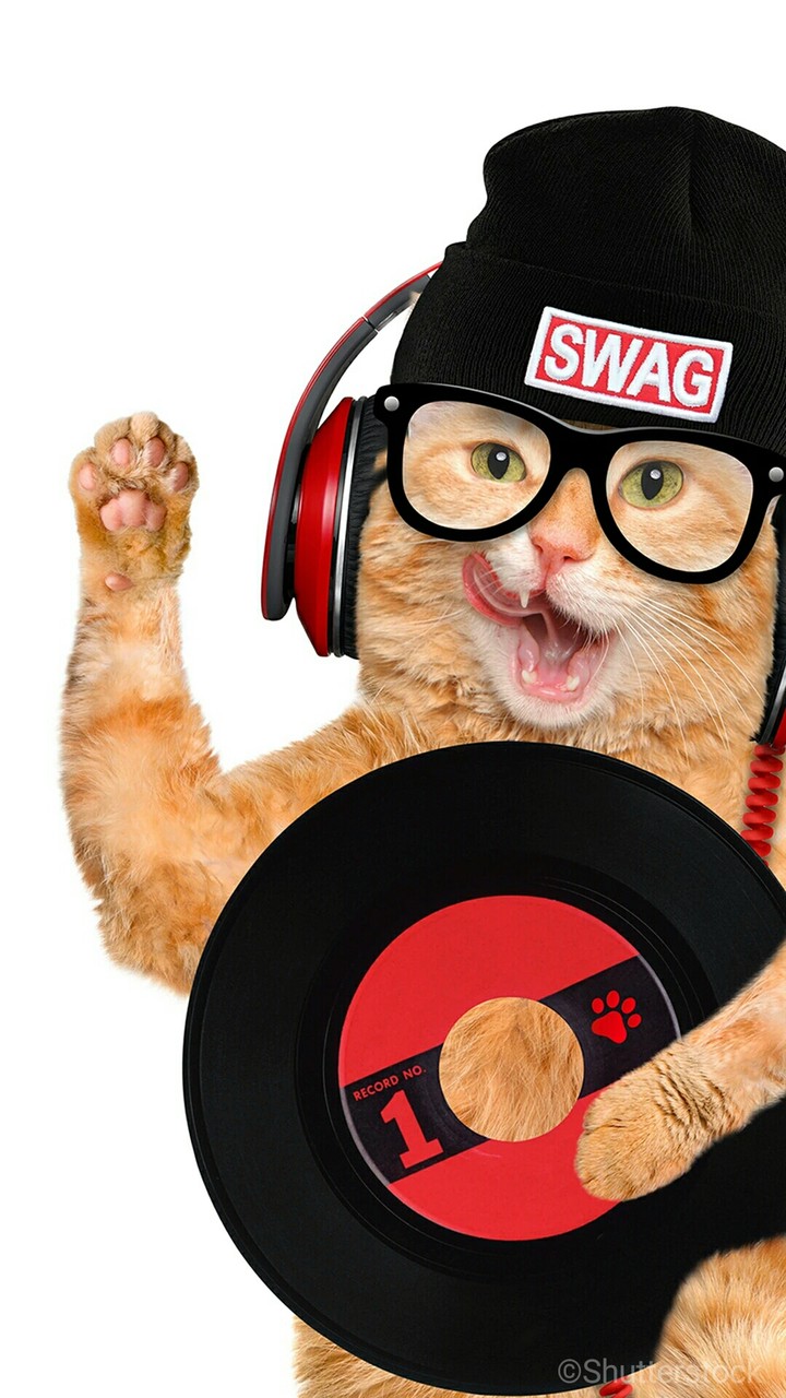 Swag Cat