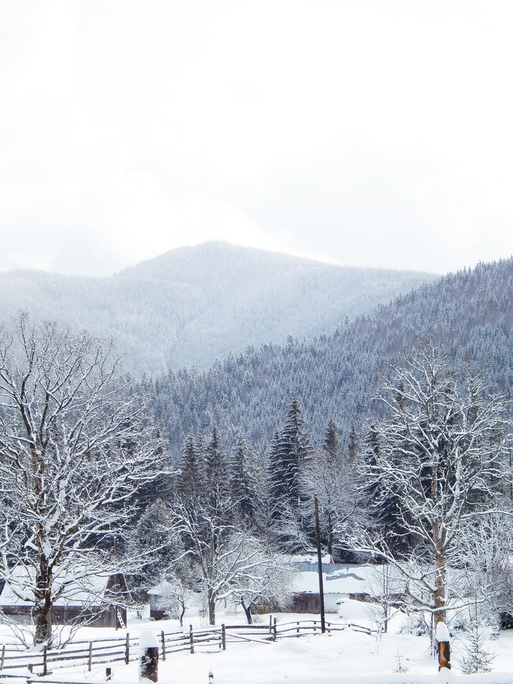 winter