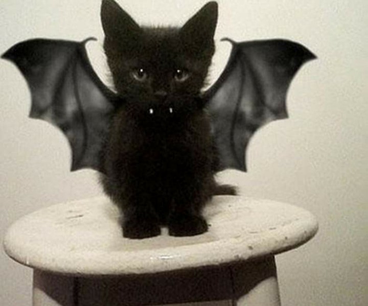 vampire