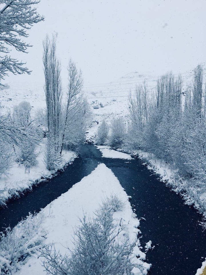 Winter