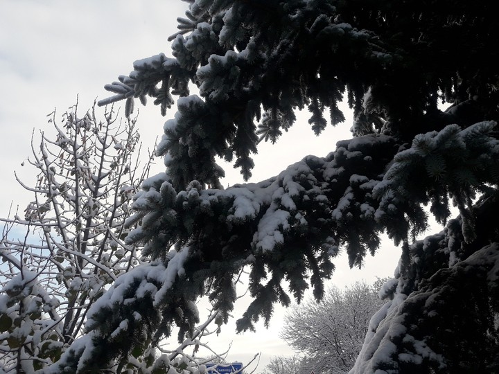 Snow