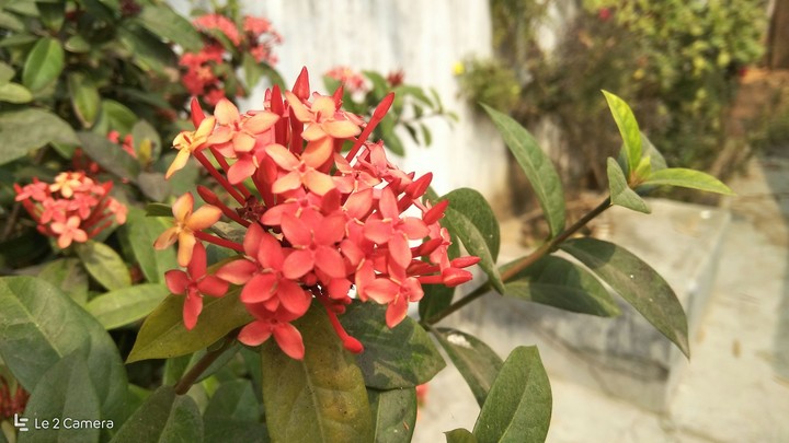 open