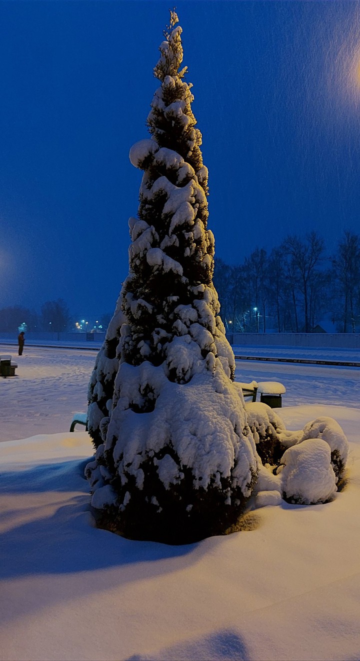 Magic winter