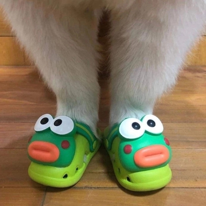.