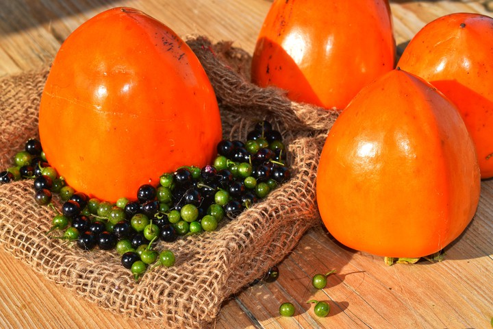 #persimmons