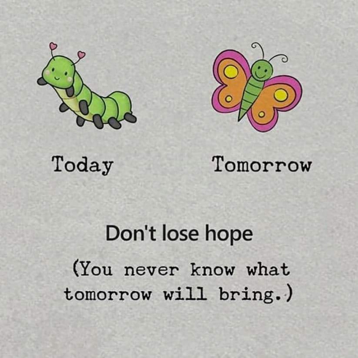 life is beautiful