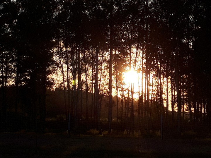 summer)