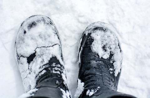 a walk in the snow