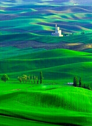 green