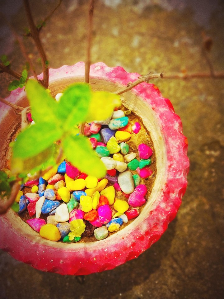 colours of life