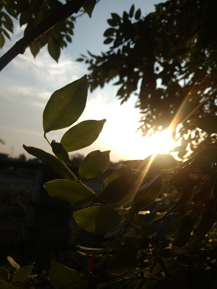 luv nature till ur death as it gives u till ur birth