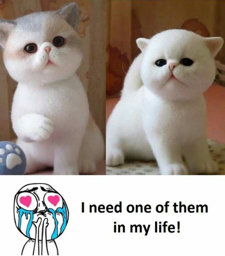 life!