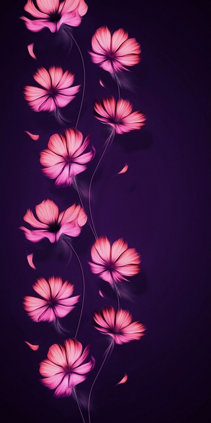 wallpaper
