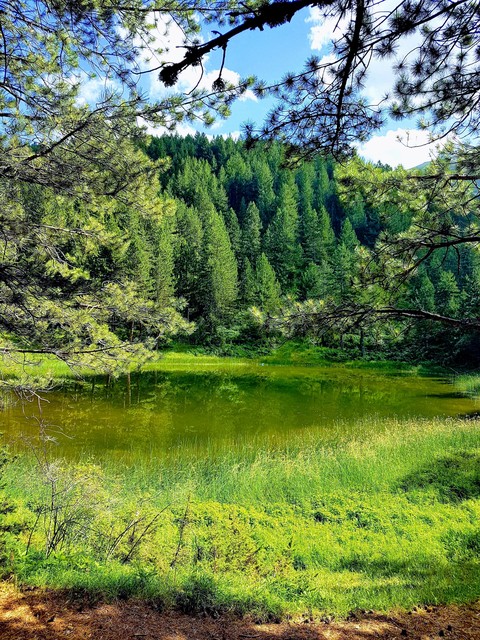 Beatyful Albania (Liqeni i zi Korab )