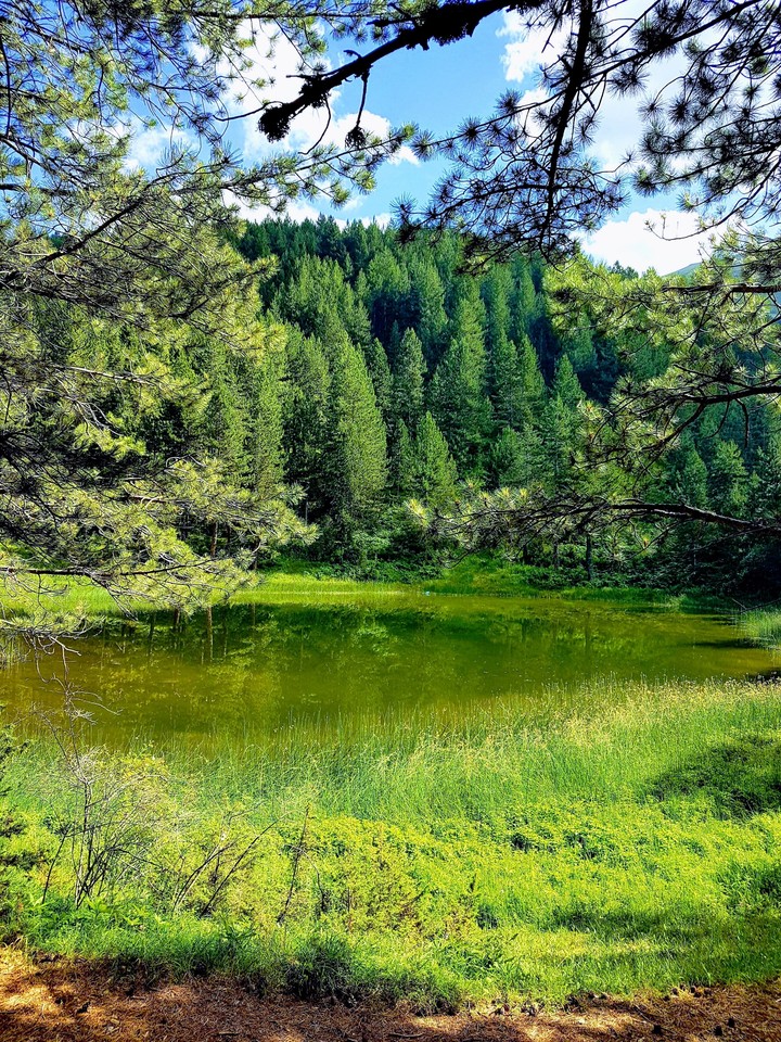 Beatyful Albania (Liqeni i zi Korab )