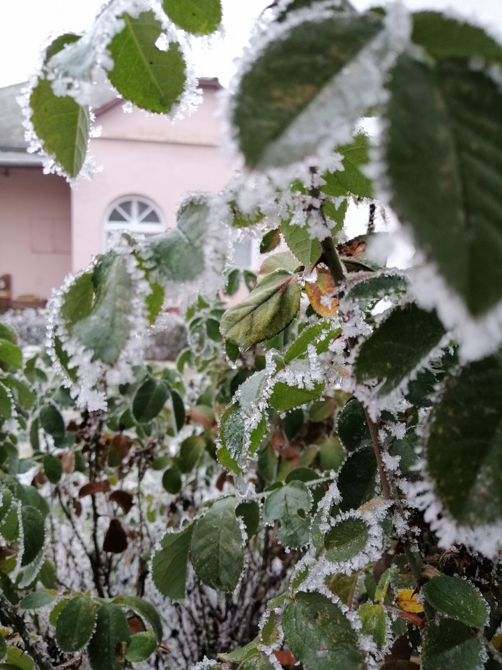 Winter