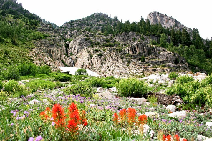 nature