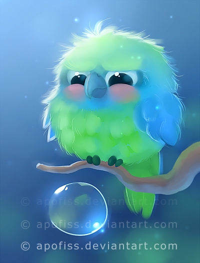 bird
