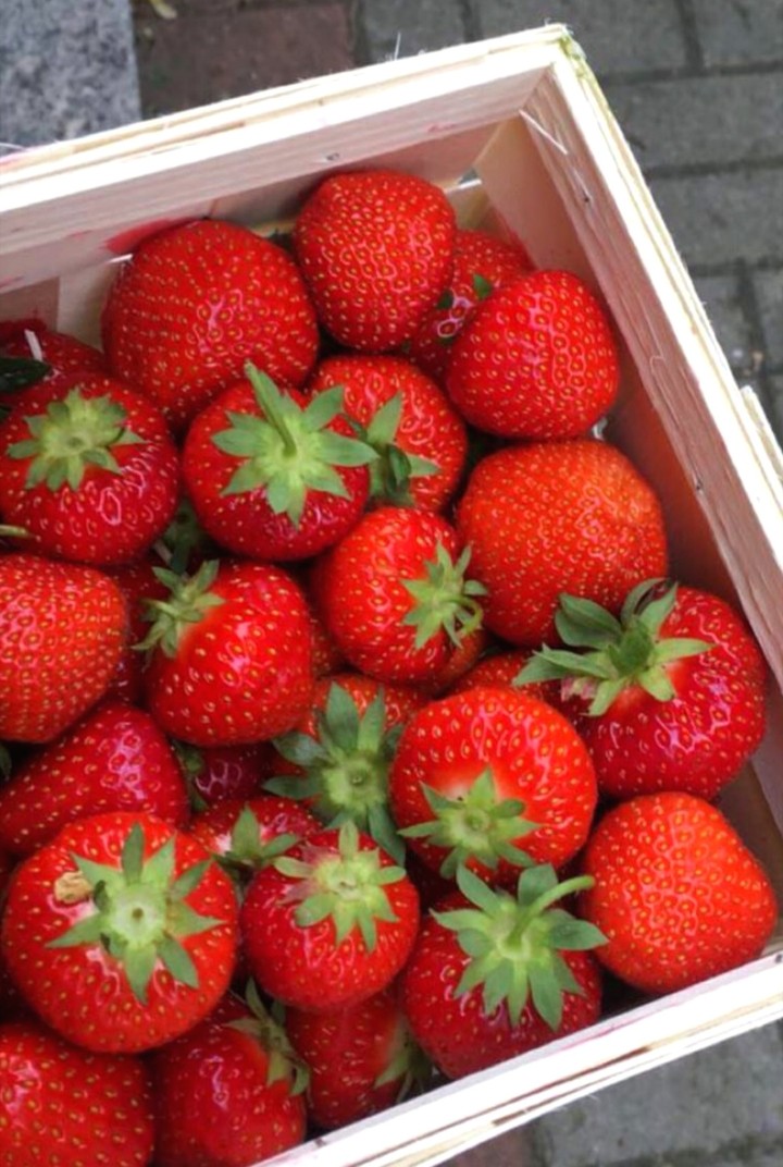 Erdbeeren