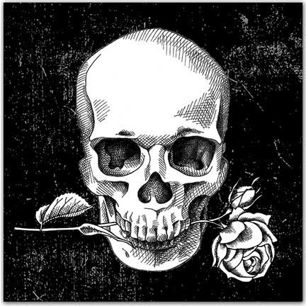 skeleton head