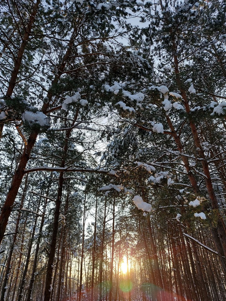 winter