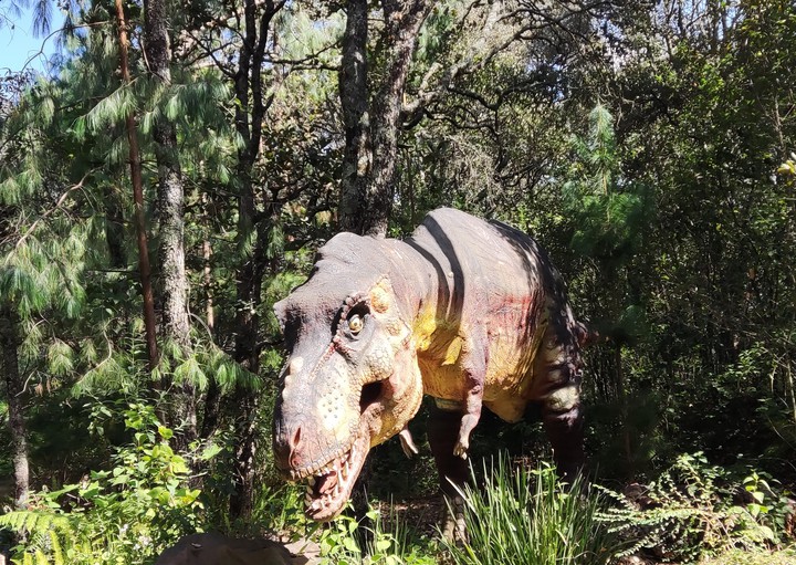 Tiranosaurio