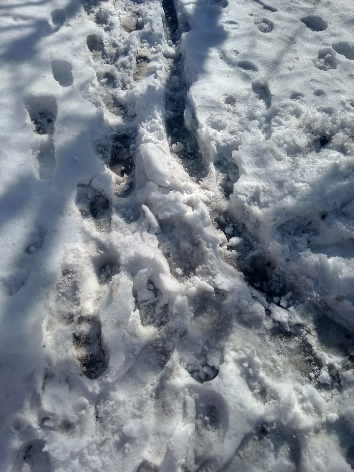 Снег
