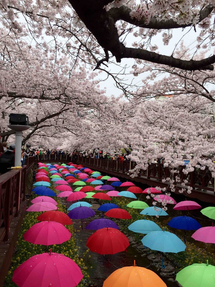 팝콘