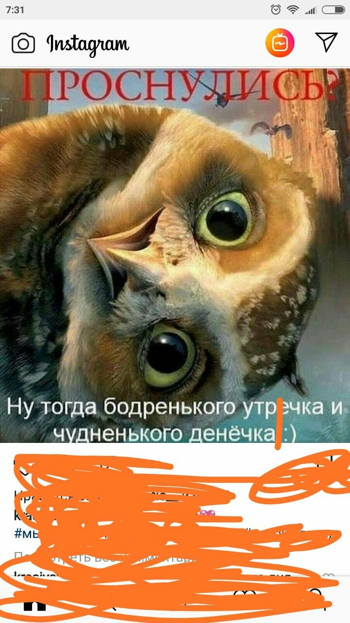 доброе утро
