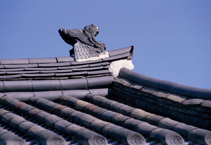 한국의패턴