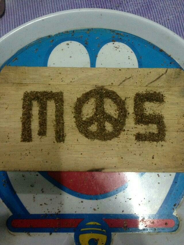 mm