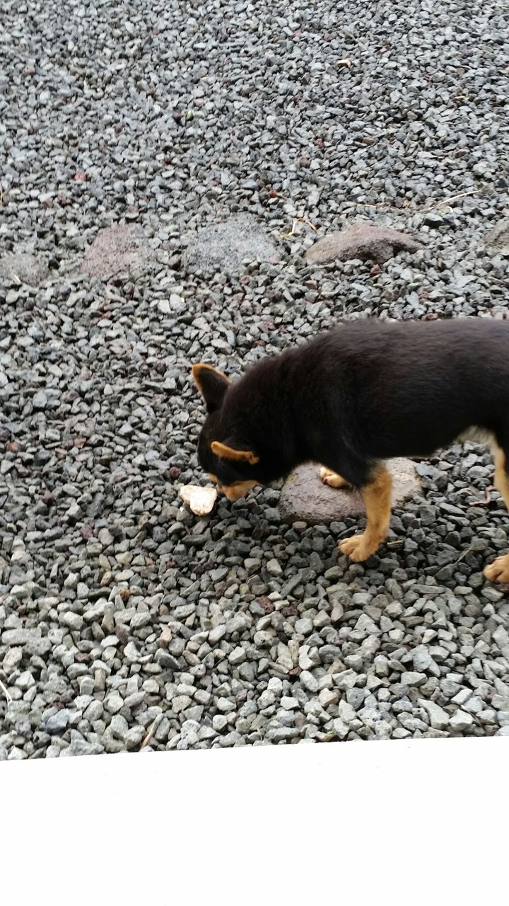 ～(^з^)-♡ Treats!