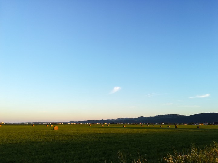 #summer