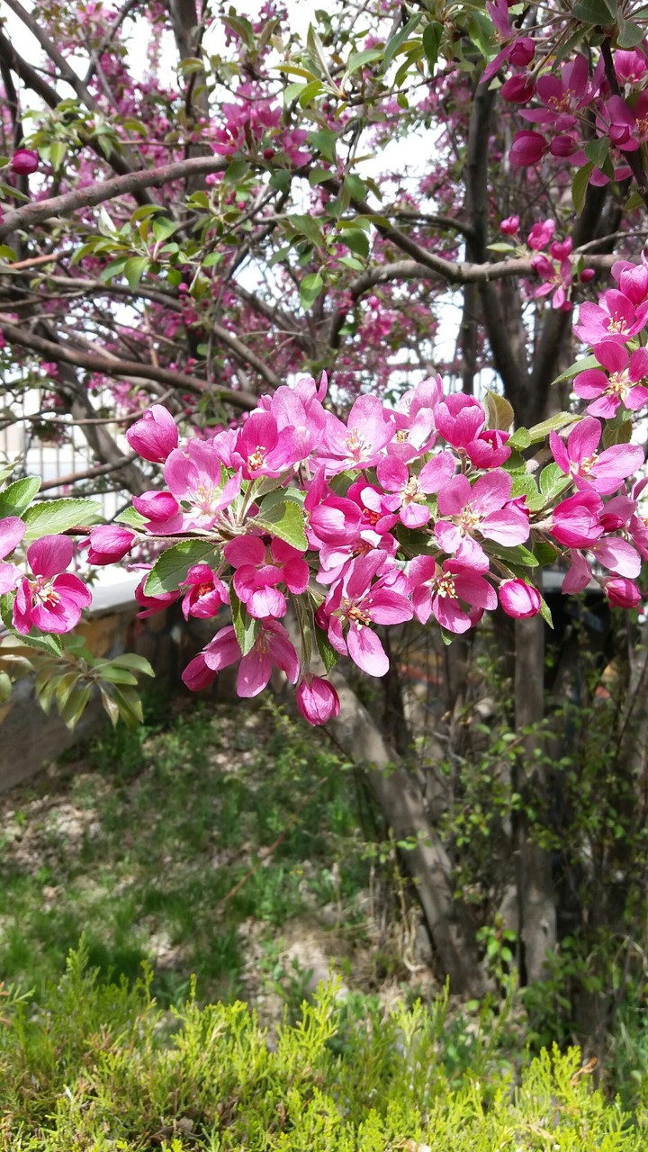 Spring 