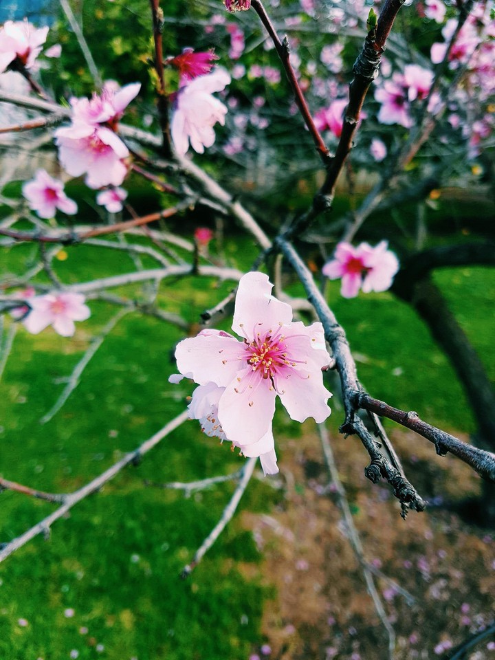 Spring