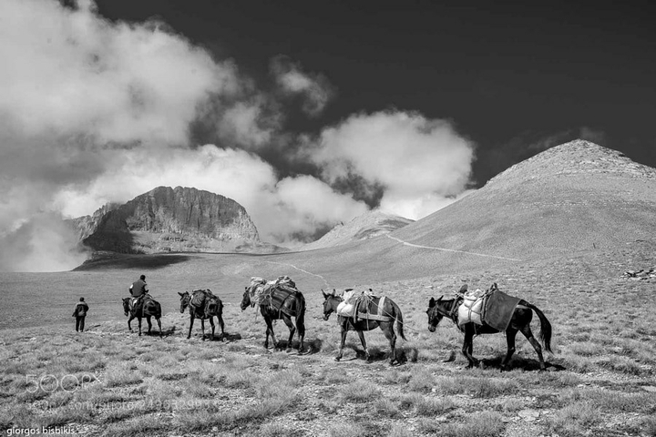 کاروان