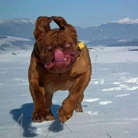 *