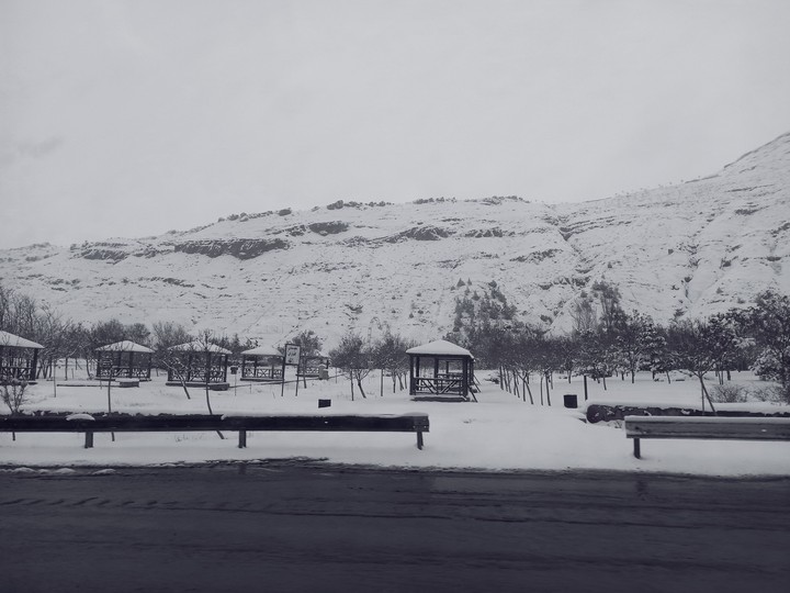 the winter