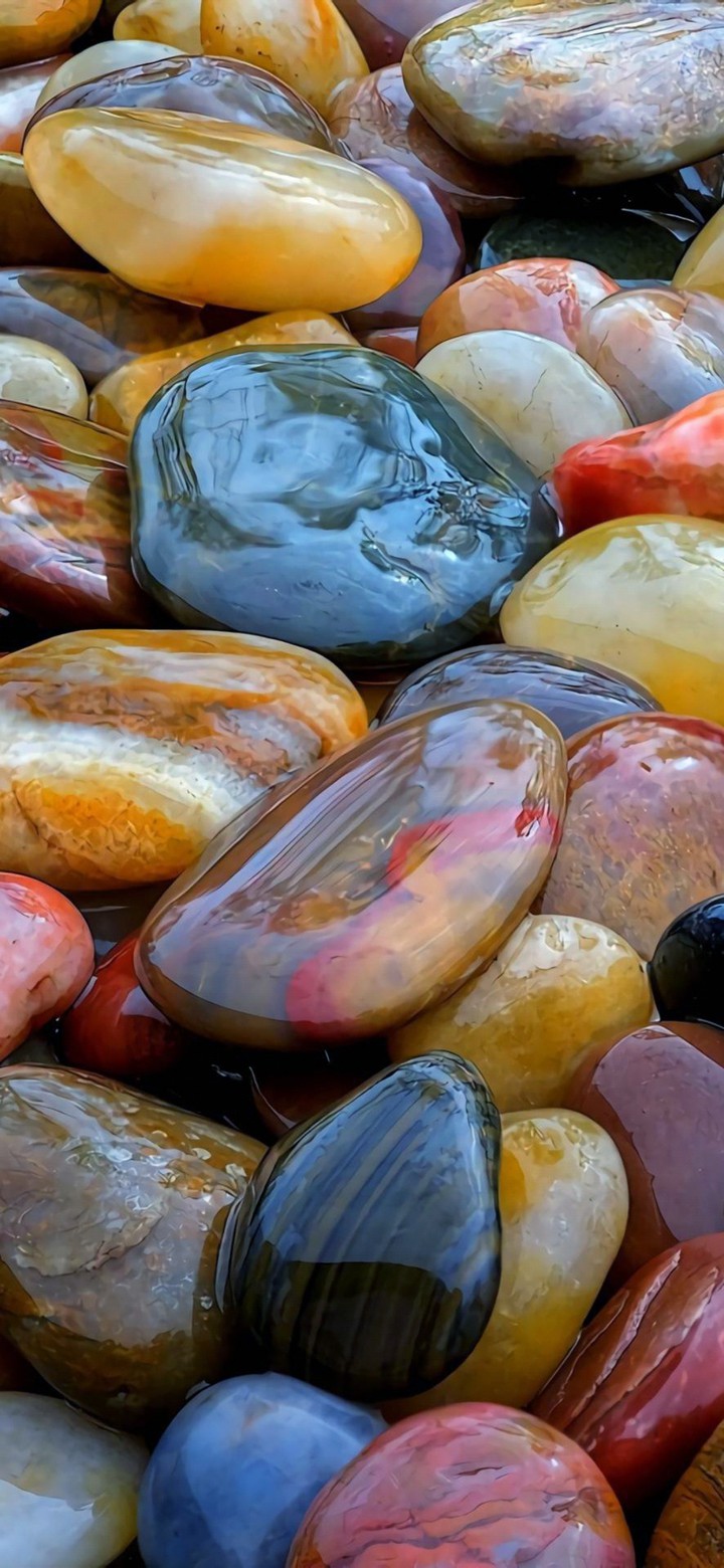 nature reflecting reality