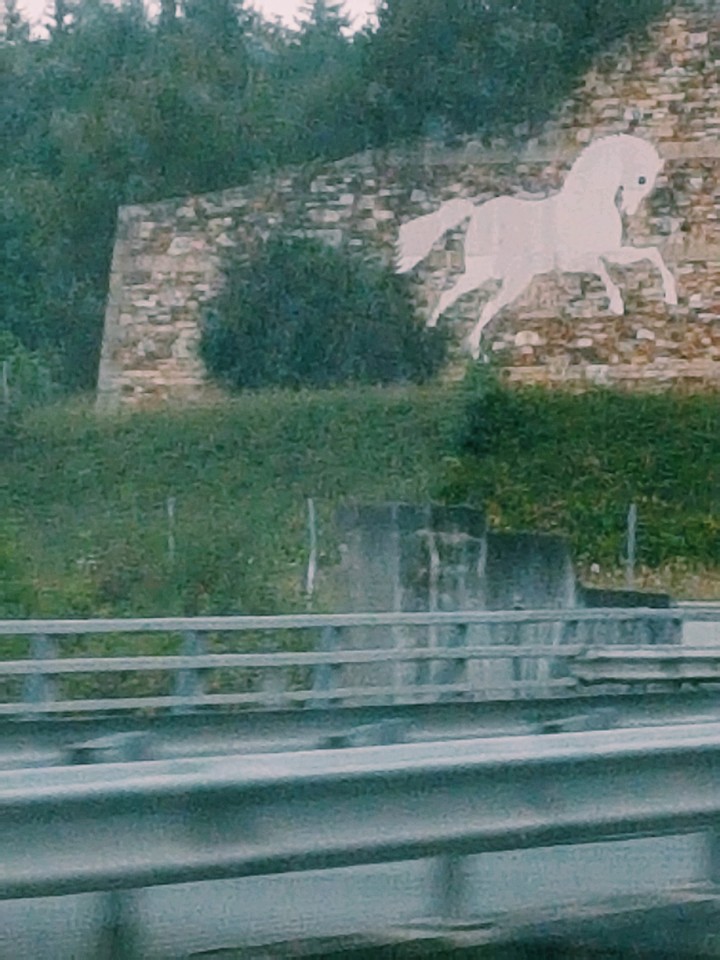 galop