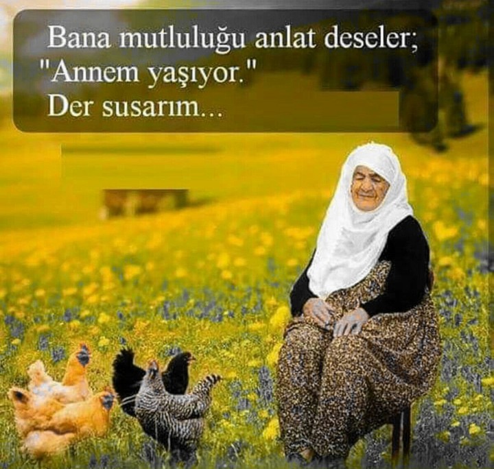 ana