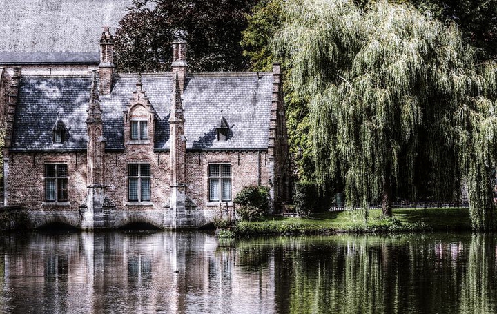 tranquil streamside