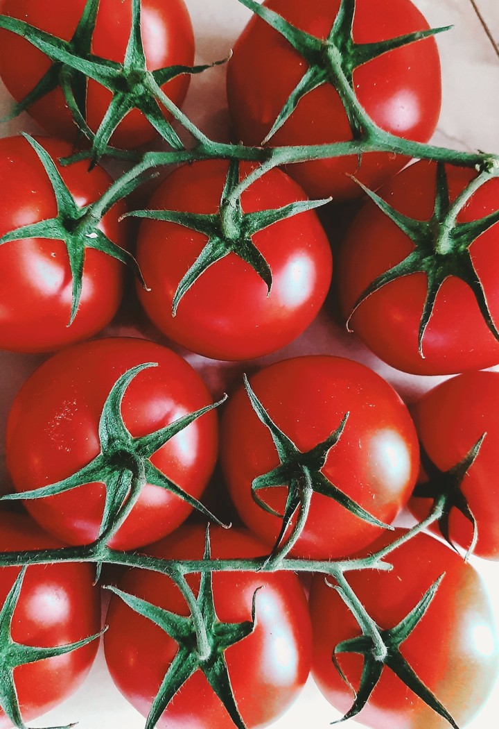 Tomato