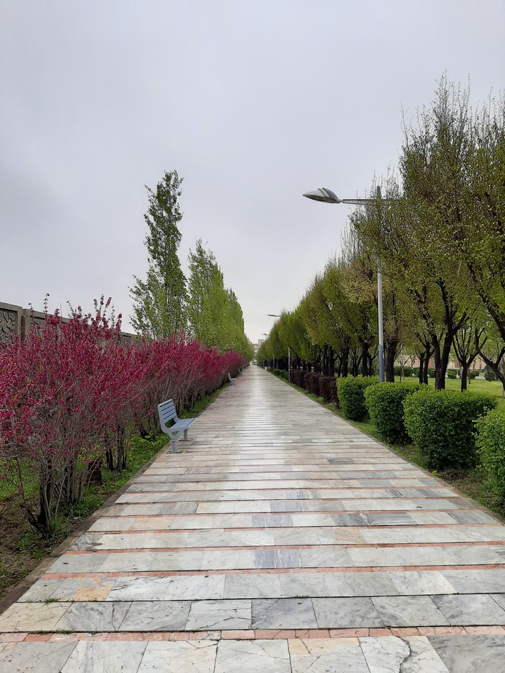 park