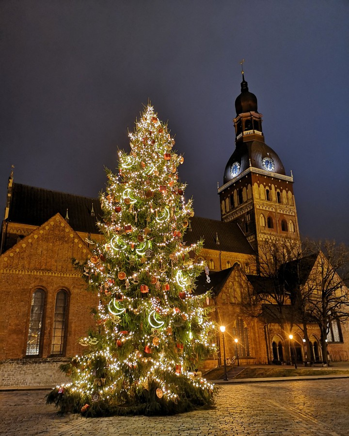 Christmas tree in Riga