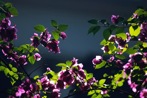 lovely picture....