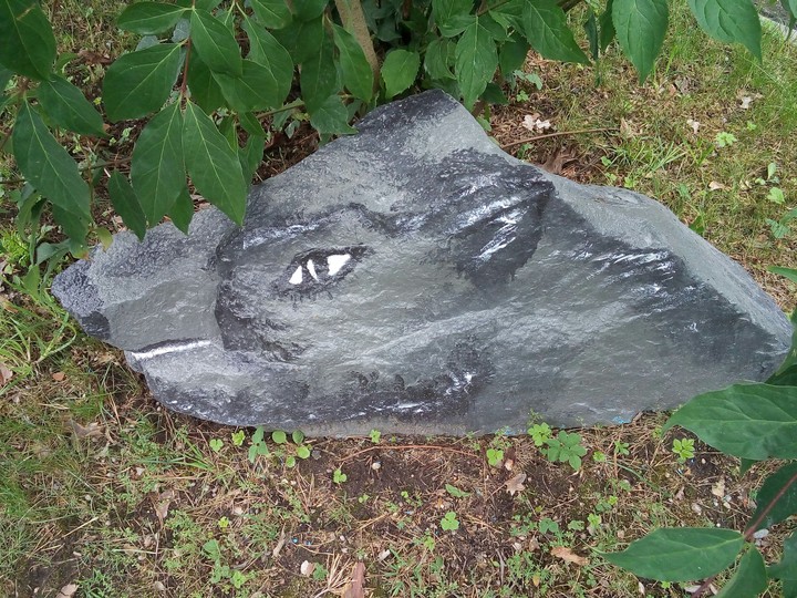 wolf rock