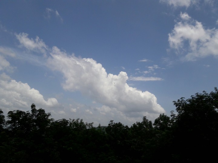 daytime