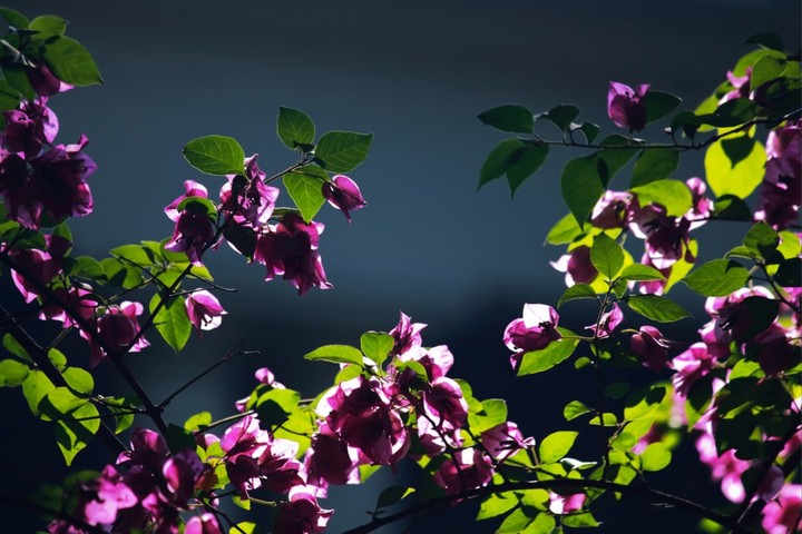 lovely picture....