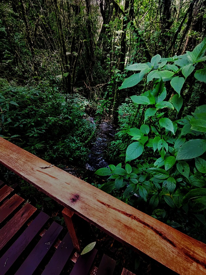 Nature